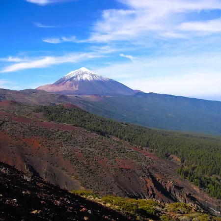 Luis Estudio Adeje Tenerife Sur By Hrtenerife Net * Costa Adeje (Tenerife)
