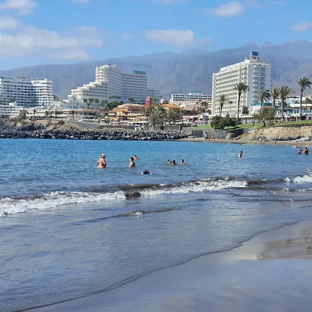 Luis Estudio Adeje Tenerife Sur By Hrtenerife Net